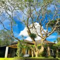 The homes of Geoffrey Bawa and Bevis Bawa in Sri Lanka