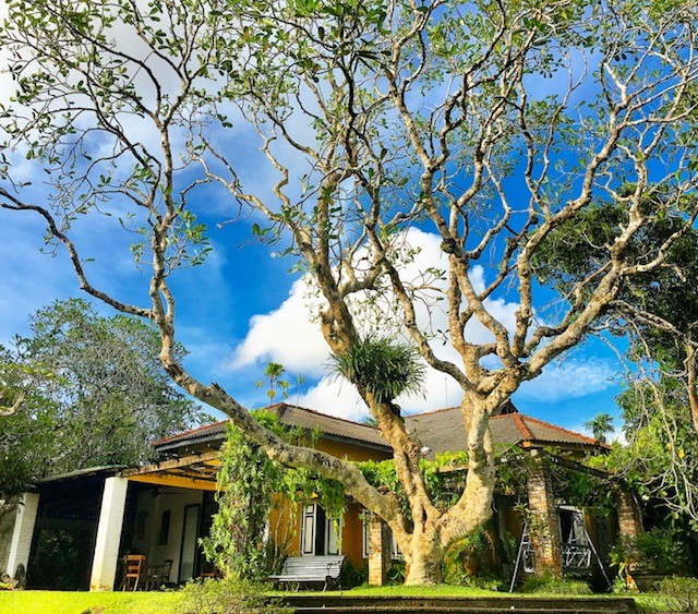 The homes of Geoffrey Bawa and Bevis Bawa in Sri Lanka