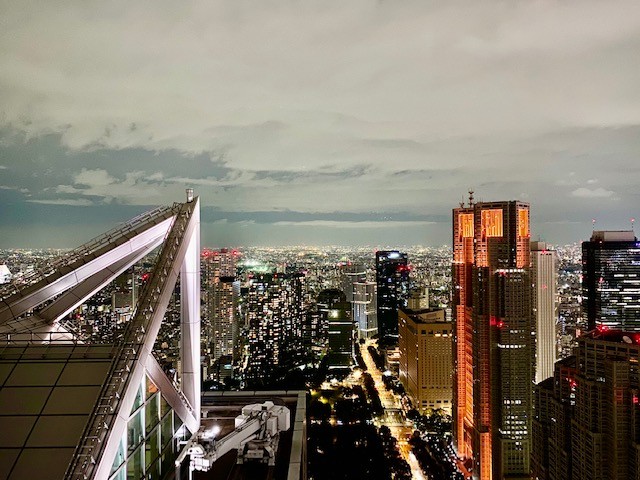 Park Hyatt Tokyo original design and interiors