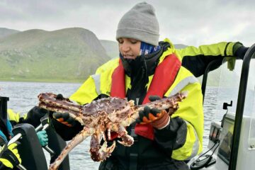 Fishermen hauling a heavy cage of live Norwegian King Crabs from the Barents Sea