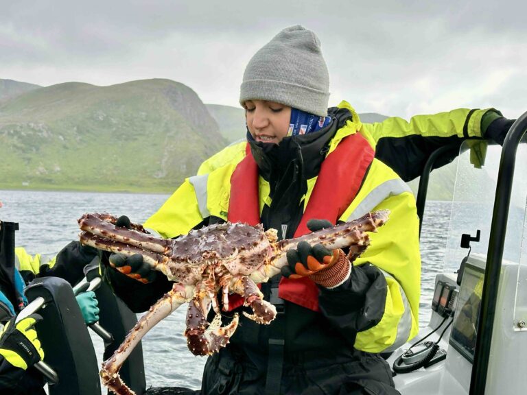 Fishermen hauling a heavy cage of live Norwegian King Crabs from the Barents Sea