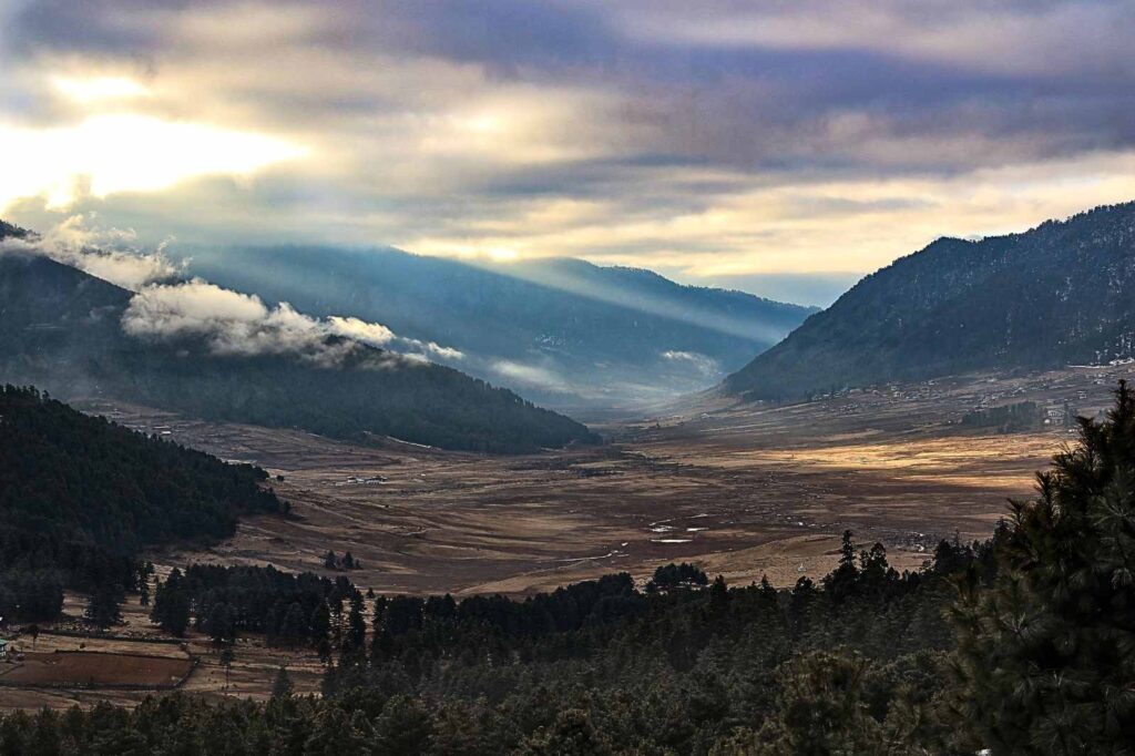 Morning mist over Phobjikha Valley in Bhutan — a serene Himalayan landscape of golden fields, pine forests, and mountain light, known for its natural beauty and black-necked cranes.