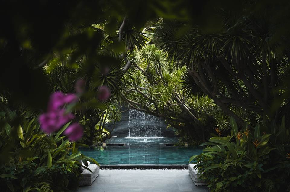Lush Wellness Garden at TIA Wellness Resort in Da Nang, featuring rosewood trees, mangroves, tall ferns, and a tranquil waterfall pool surrounded by tropical foliage.