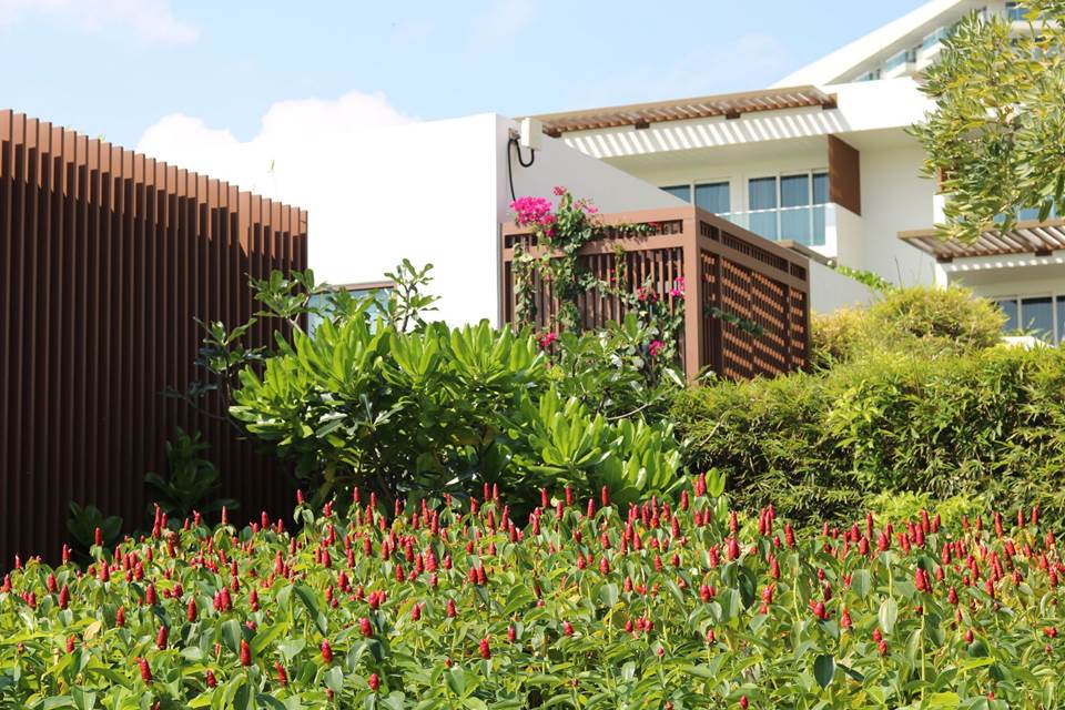 Vibrant flower gardens at Alma Cam Ranh, with Red Button Ginger, Purple Showers, Yellow Bell blooms, and lush tropical greenery beside the ocean.
