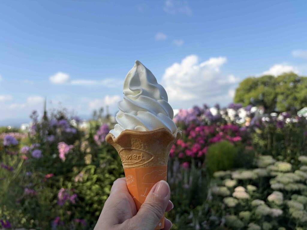 Hokkaido soft-serve ice cream cone held in front of colorful summer flowers in Niseko, Japan.