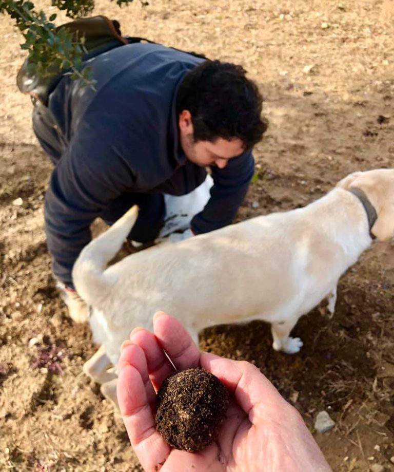 Hunting with the King of Truffles in Spain TRAVELIFE Magazine