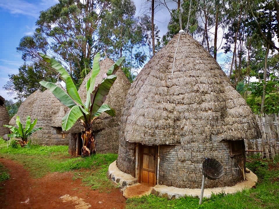 Visiting the Dorze tribe, the oldest tribe in Ethiopia, in the mountains of Arba Minch.