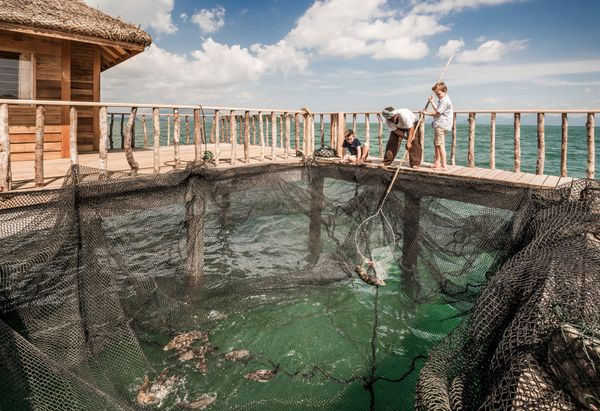 Traditional Fishing at Four Seasons Resort Langkawi